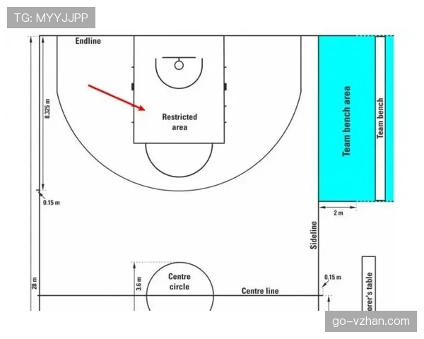 FIBA与NBA规则差异全解析：带你读懂两大篮球赛事的不同判罚标准